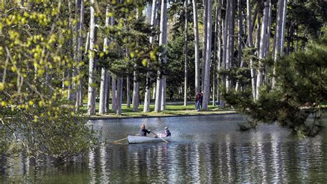 bois de boulogne la nuit|Les secrets du bois de Boulogne